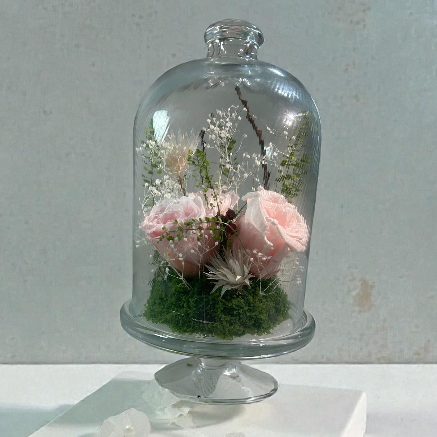 문 플뢰르 여자친구 감동 부모님 감사 집들이 시들지않는 생화 프리저브드 유리돔 50,000원