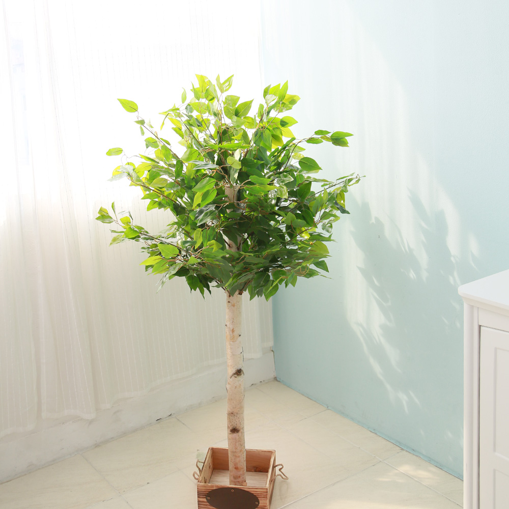 인조나무 조화나무 화분 장식 킹벤자민 130cm 79,000원