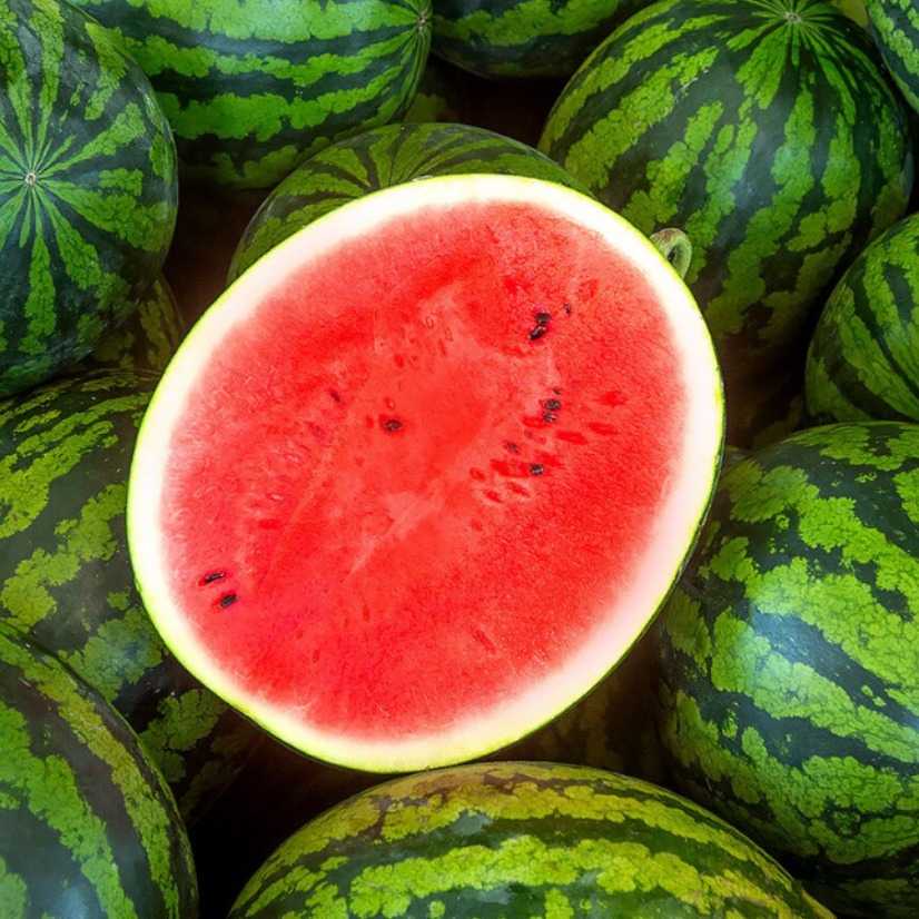 고당도 하우스 꿀수박 프리미엄 수박 13,280원