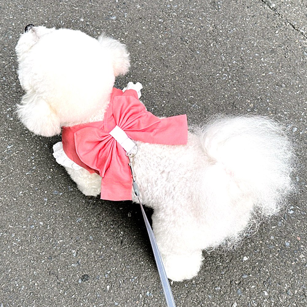 호나미네 강아지 고양이 핑크 리본하네스, 1개, 핑크 15,000원