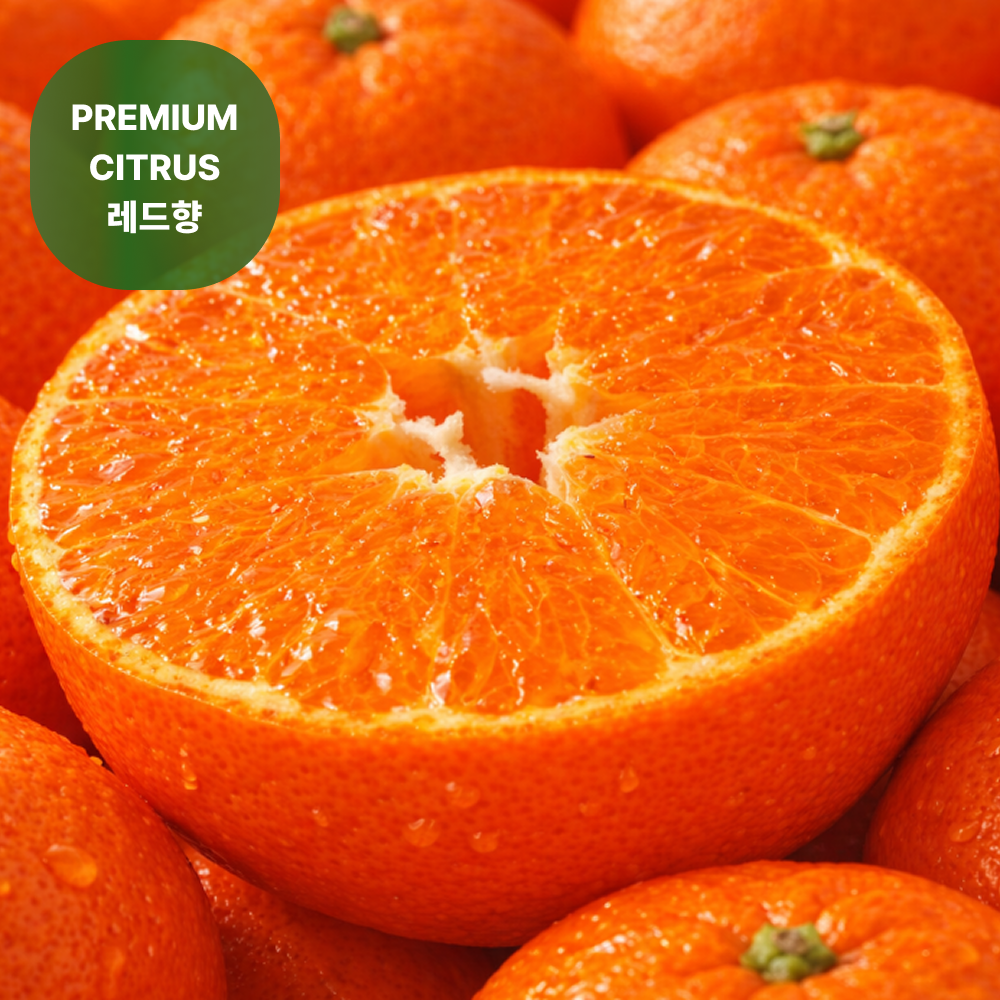 제주 고당도 못난이 가정용 레드향 23,500원