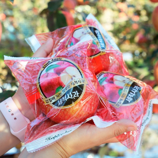 [오늘아침사과] 오늘아침 세척사과 5kg 22과 48,900원