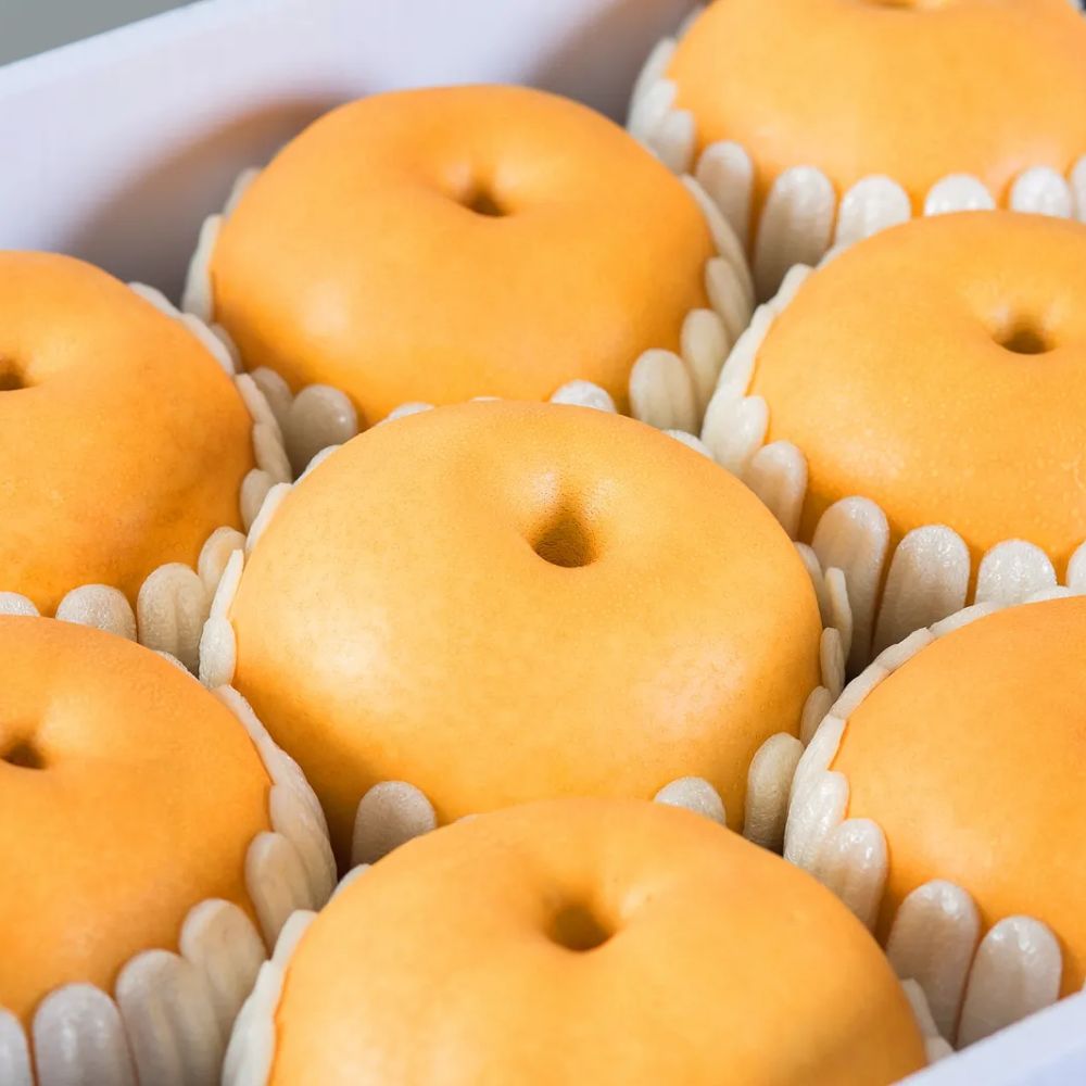 정감찬 명품 나주배 과일선물세트 배선물세트 황금배 신고배 42,900원