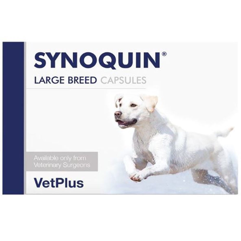 벳플러스 사이노퀸 대형견 강아지 독 라지브리드 30정 관절영양제 타블렛 3개 138,330원