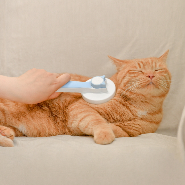 올치 반려동물 쏘옥 원터치 털 제거 브러쉬, 스카이블루, 1개 8,900원