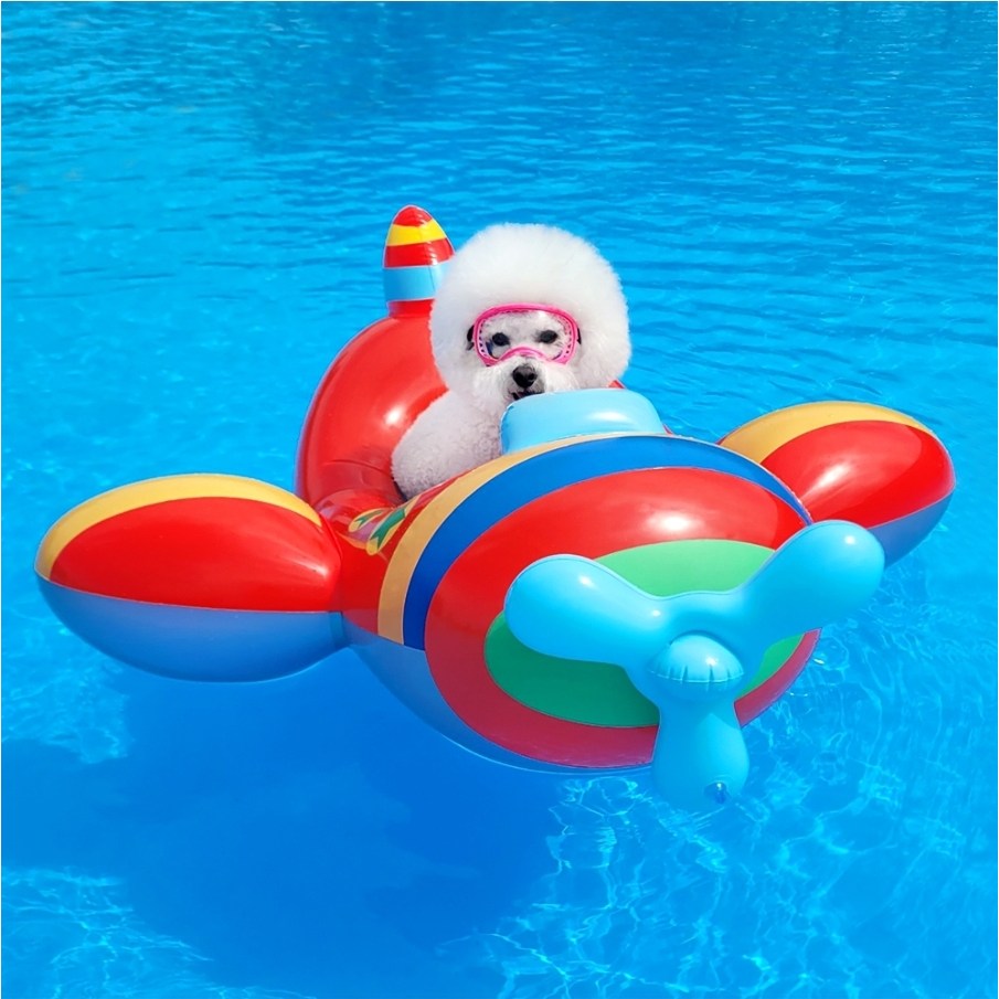 리치독스 강아지 물놀이 비행기 튜브 13,300원