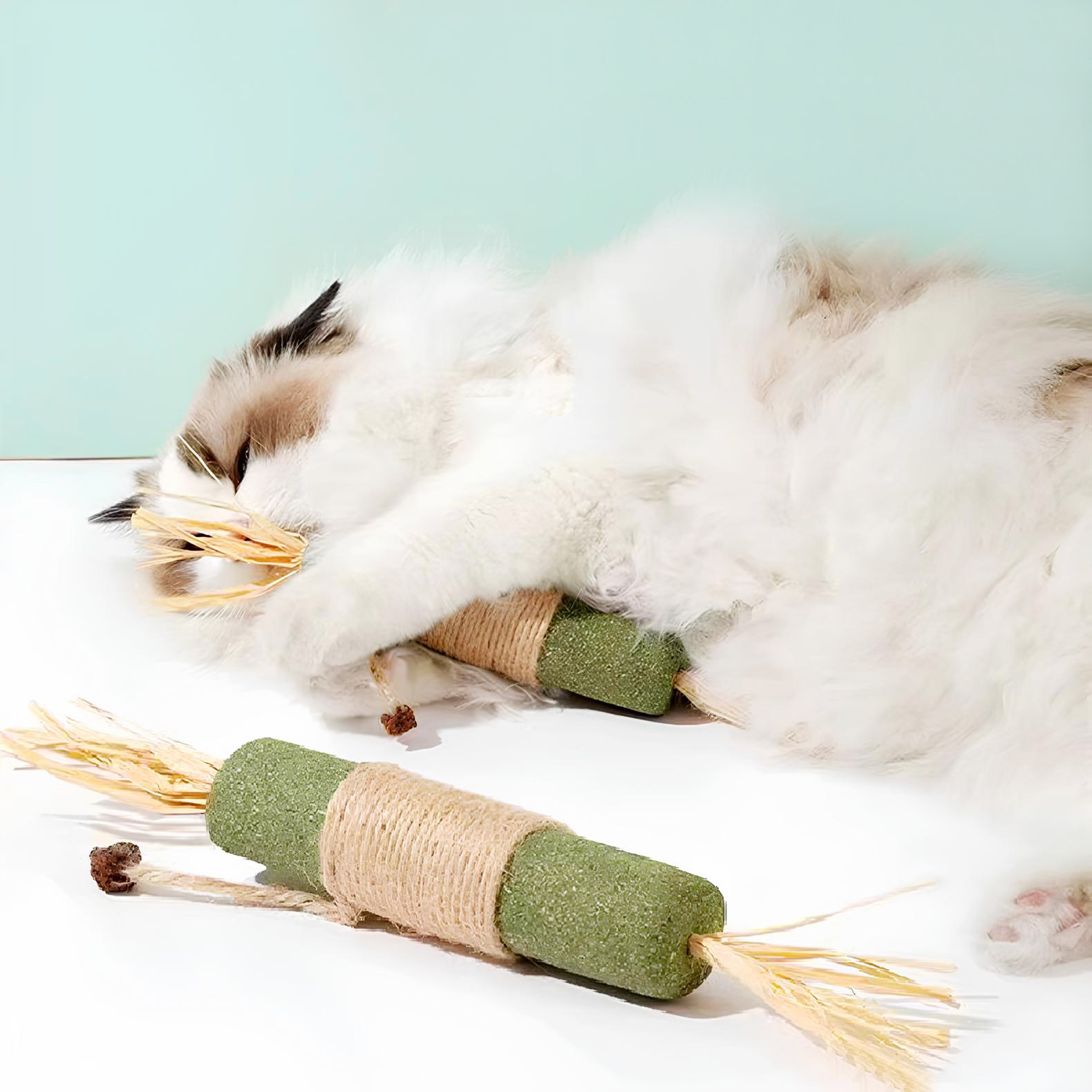 고냥냥 대왕 캣닢 마따따비 고양이 장난감, 1개, 초록 9,900원