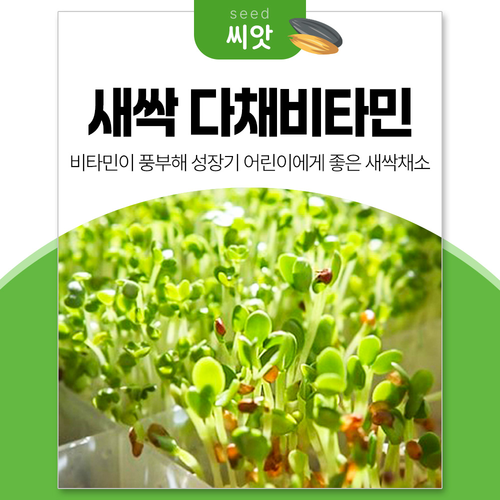 세경팜 비타민 다채싹 30g 새싹채소 씨앗 10,000원