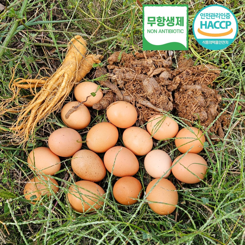 [HACCP무항생제] 자연방사 홍삼먹고 자란 난각 1번 홍삼란 유정란 52,900원