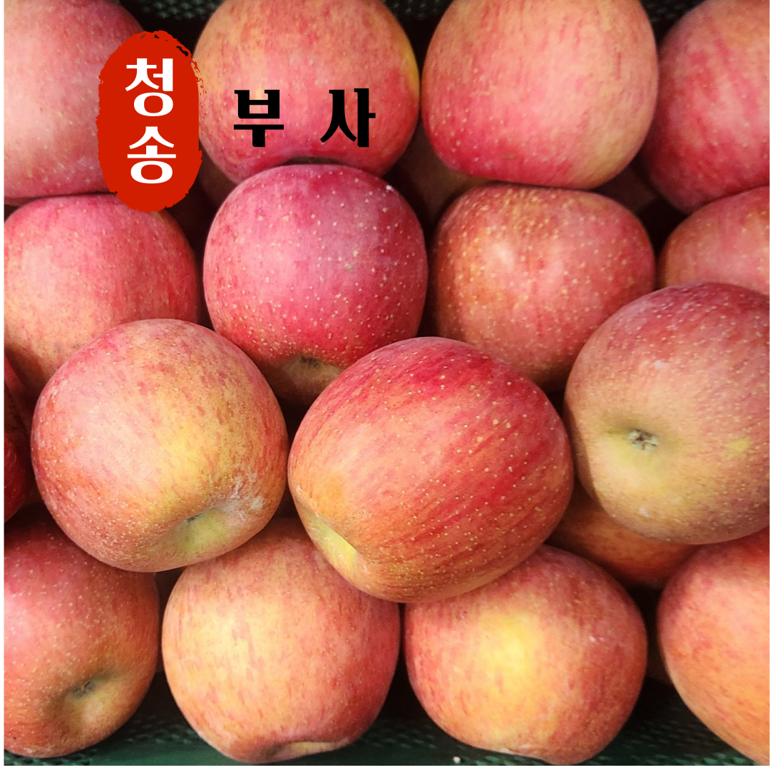 사과 당도선별 청송사과 고산지 부사사과, 1박스, 5kg (가정용) 22,700원