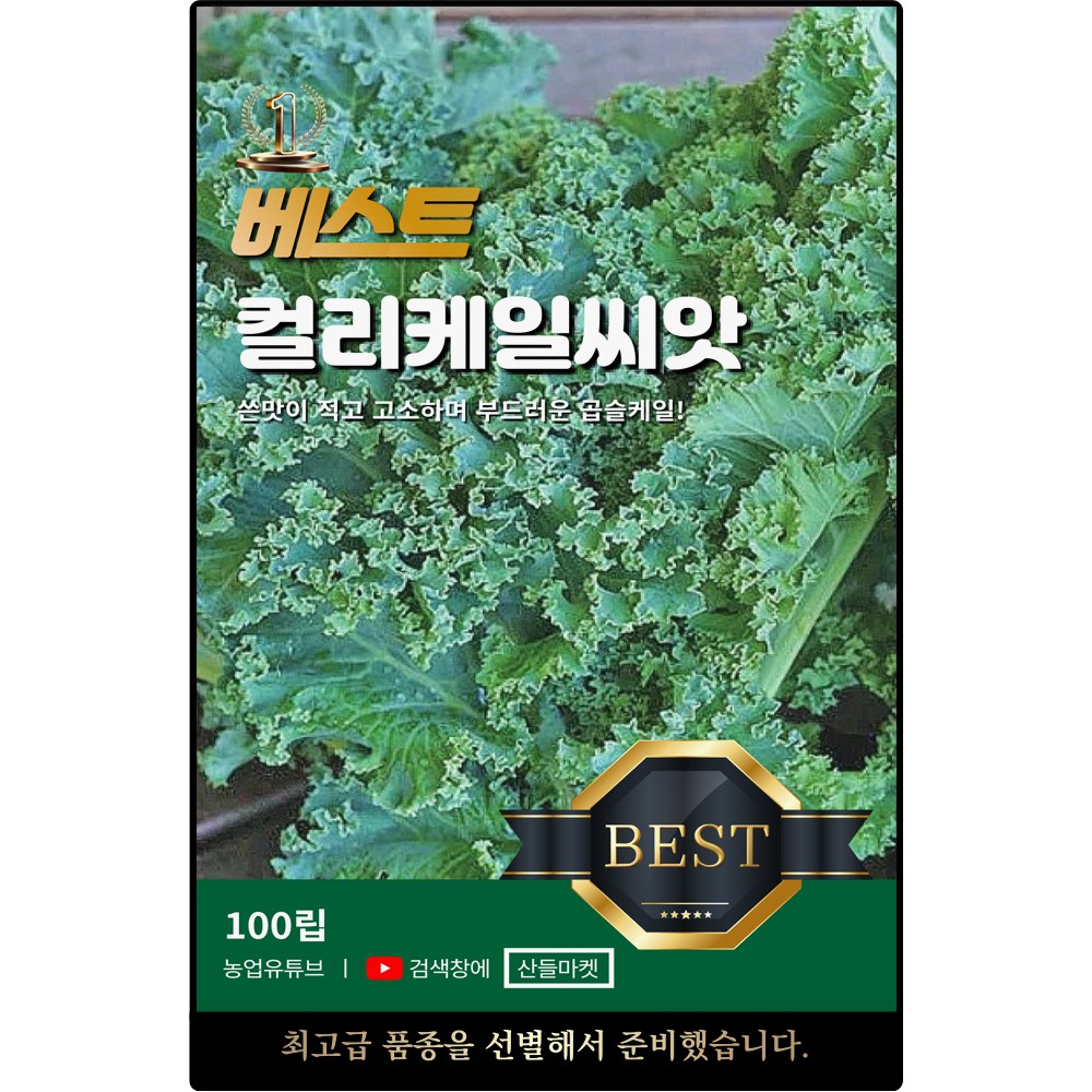 베스트 컬리케일 씨앗 100립 쓴맛이 적은 곱슬 케일씨 종자, 1개 2,500원