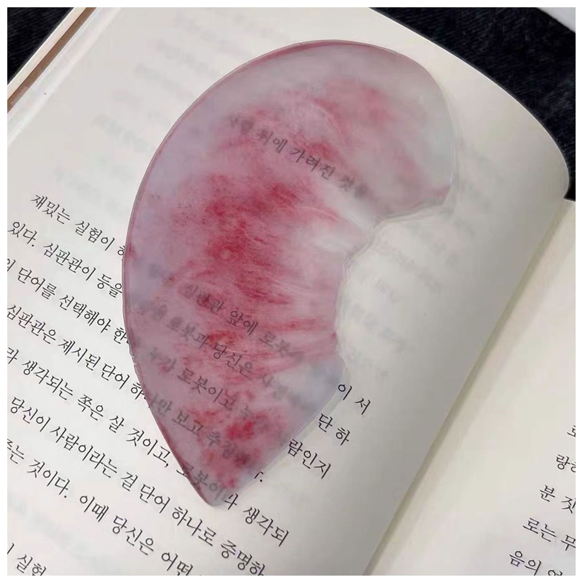 북마크 과일 책갈피 반투명 북클립, 3개, 복숭아 8,400원