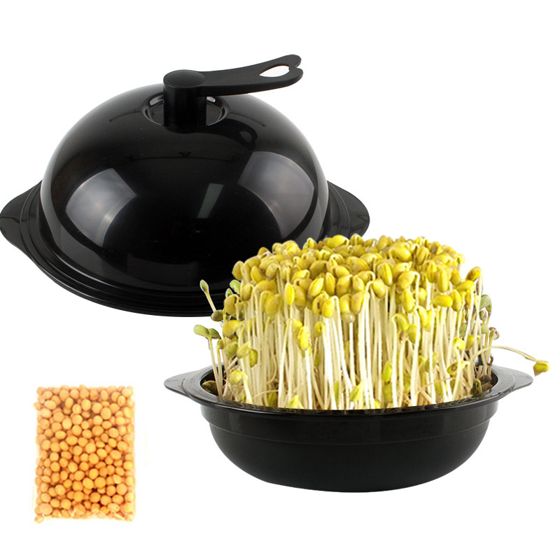 콩나물재배기 + 노란 콩나물콩 5,900원