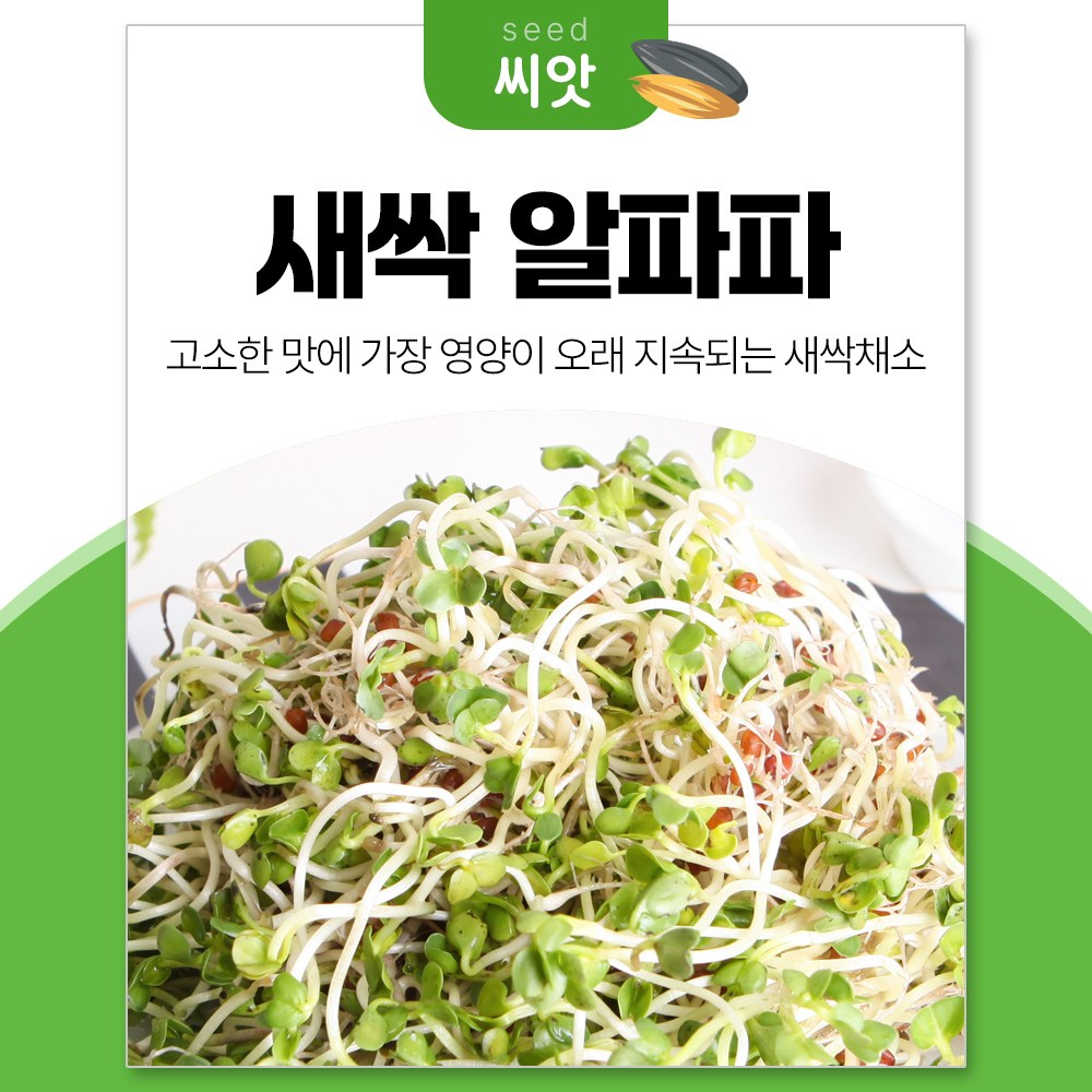 세경팜 알파파싹 30g 새싹 채소 씨앗 16,000원