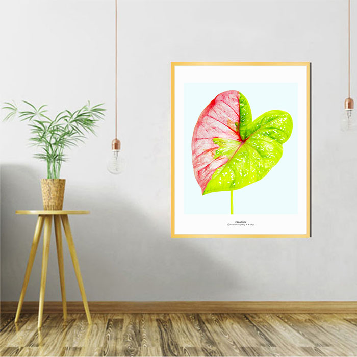 캔버스 그림 거실 현관 모던 북유럽풍 고급 식물 액자 114,000원