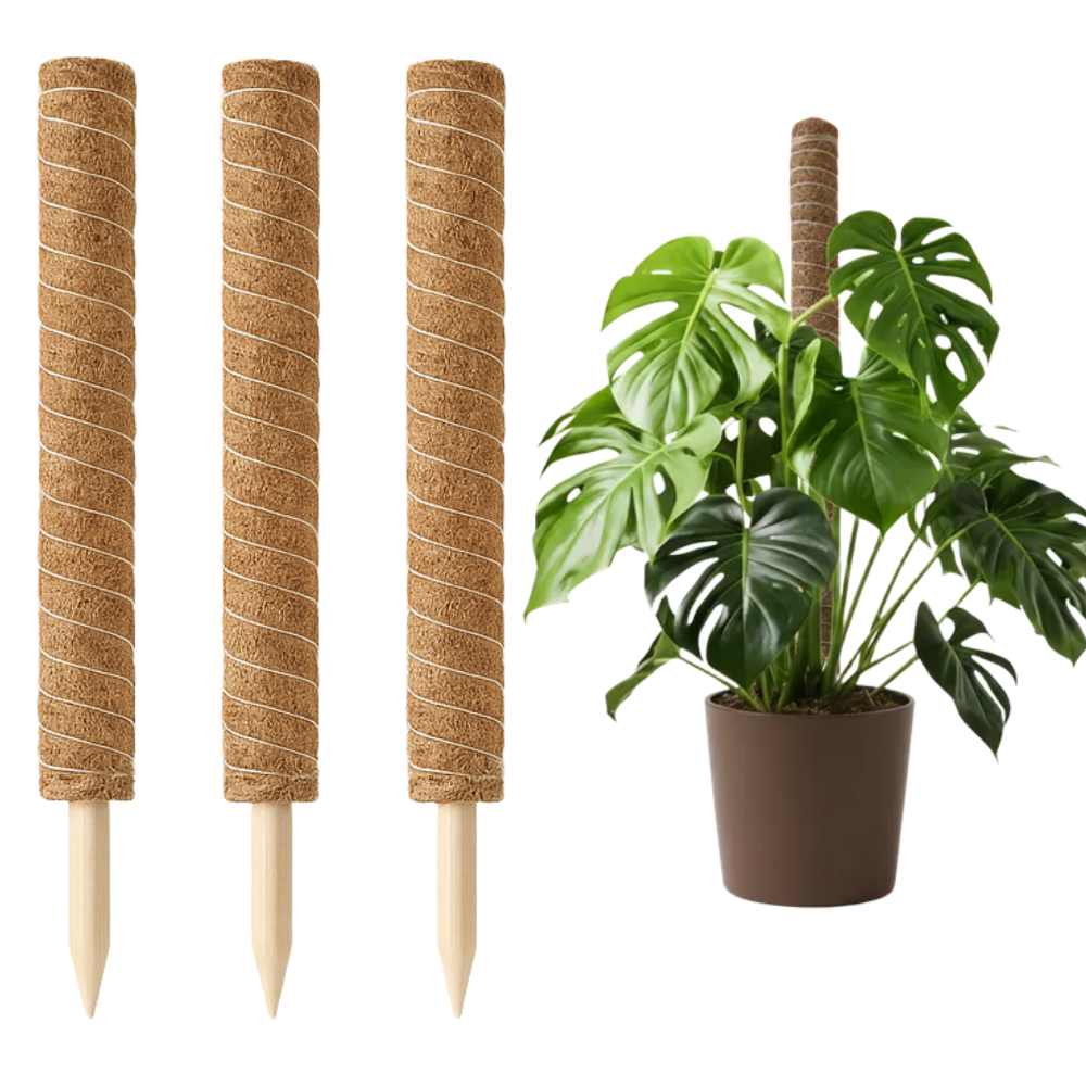 13CSTORE 수태봉 식물지지대 코코넛봉 50cm 3개, 1세트 11,900원