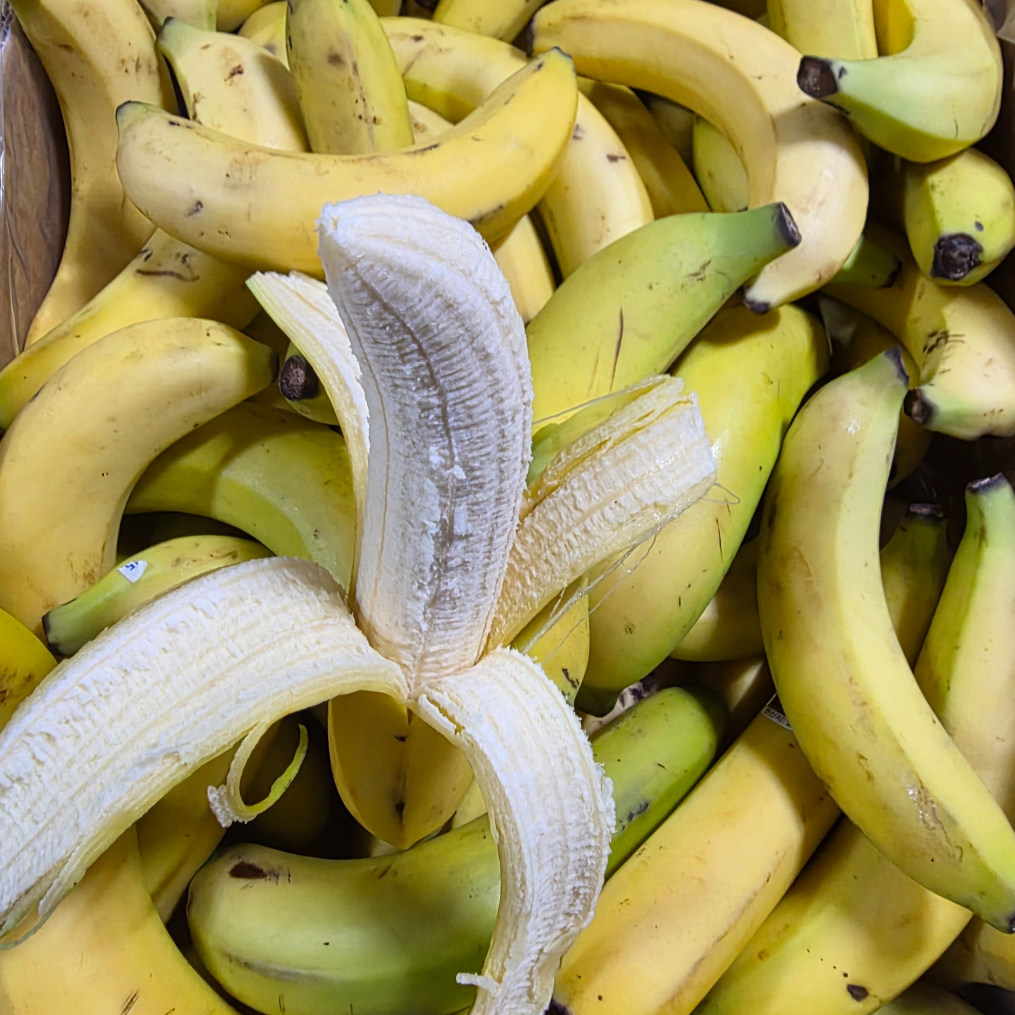 실속형 고당도 낱발 바나나 고당도 낱발 바나나 10kg, 1박스, 10kg 20,000원