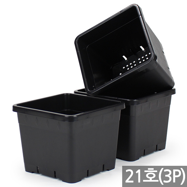 세인화분 국산 플라스틱 사각 화분 3P - 플분 칼라 중형 대형 분갈이 인테리어 홈 가드닝 슬릿분 국내산 정사각 식물 화초 재배 육묘 원예 8,190원