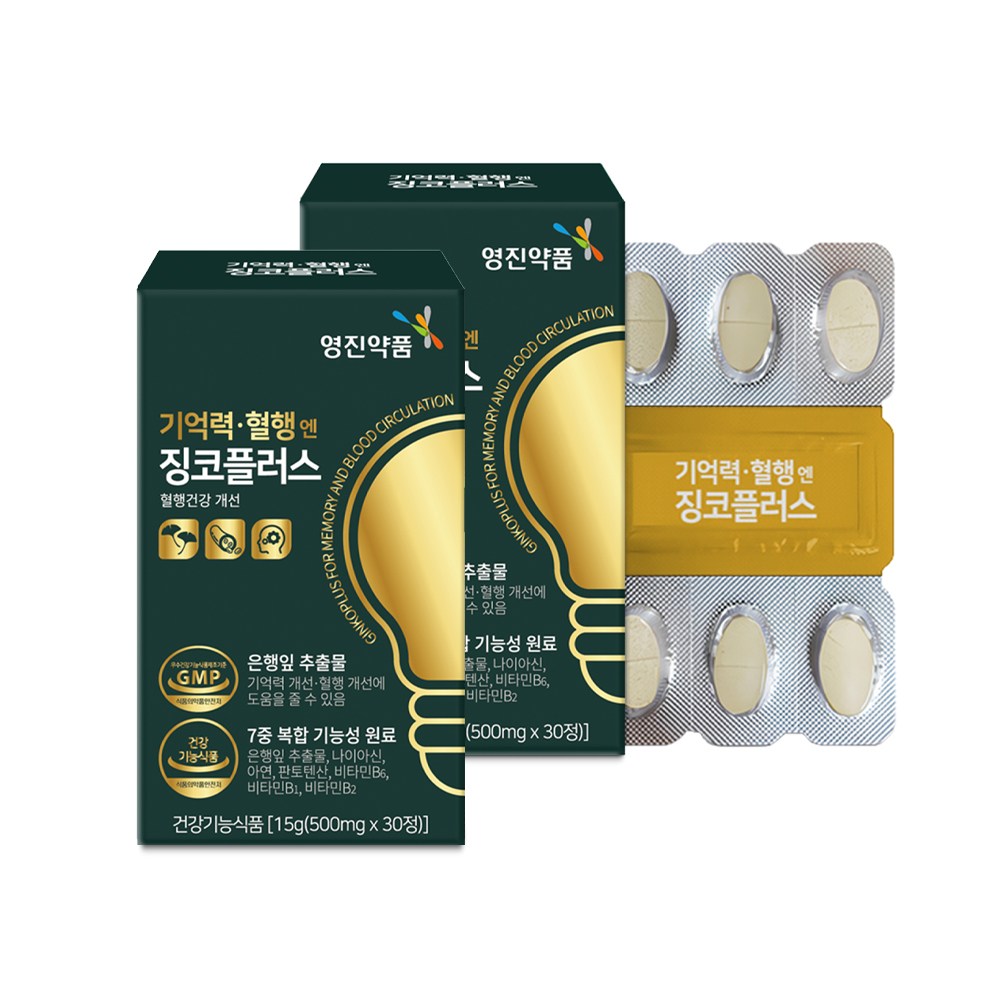 기억력 혈행은행잎 징코플러스 플라보노이드, 3개, 60정 59,000원