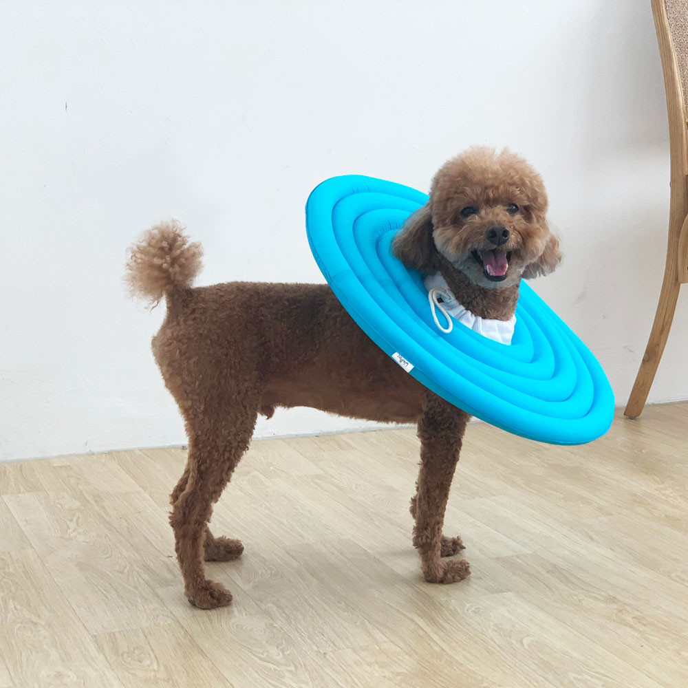 유앤펫 강아지 고양이 UFO 초경량 넥카라(시즌3) 18,000원