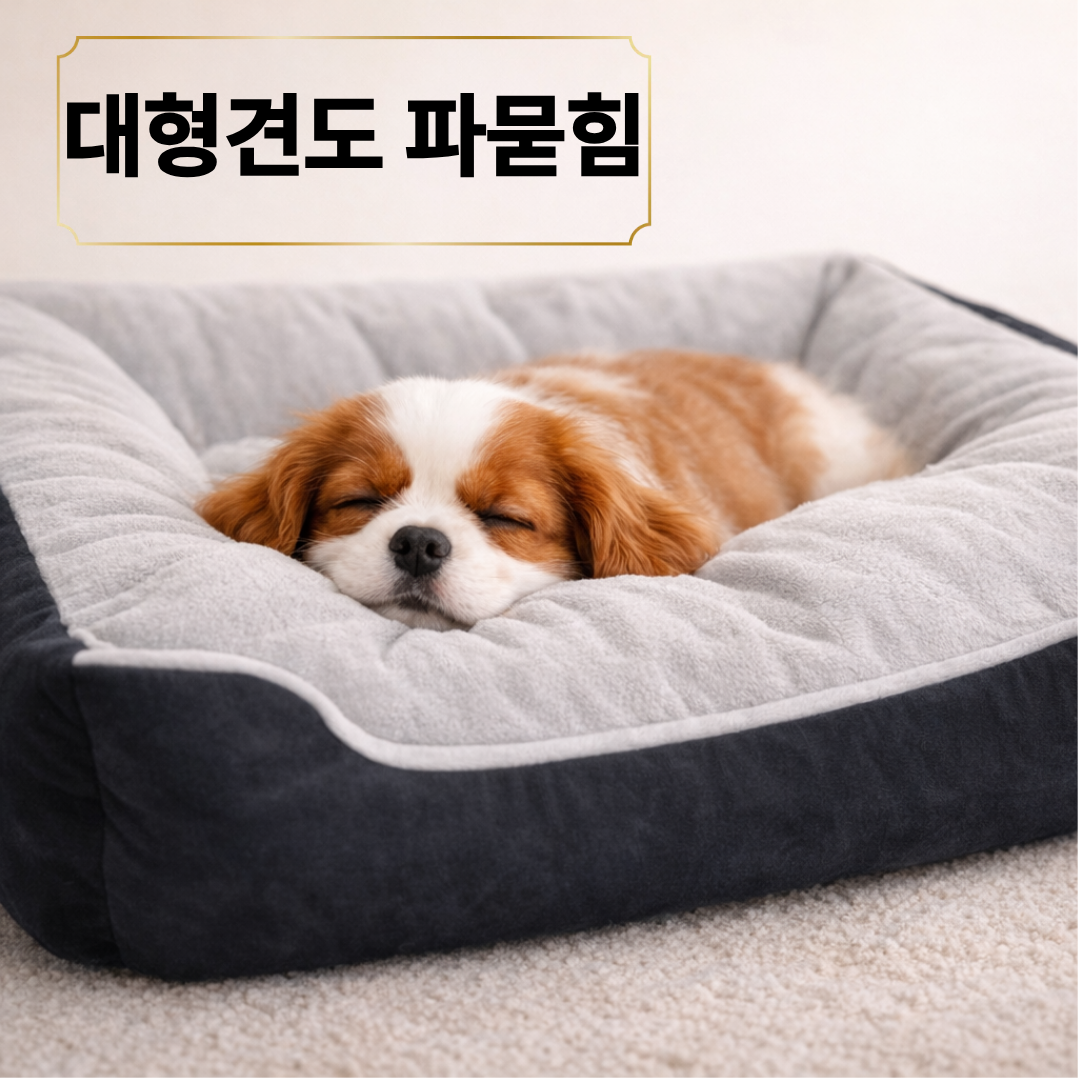 리엔토 사계절 반려동물 세탁가능 강아지 방석, 1개, 블랙, 그레이 15,500원