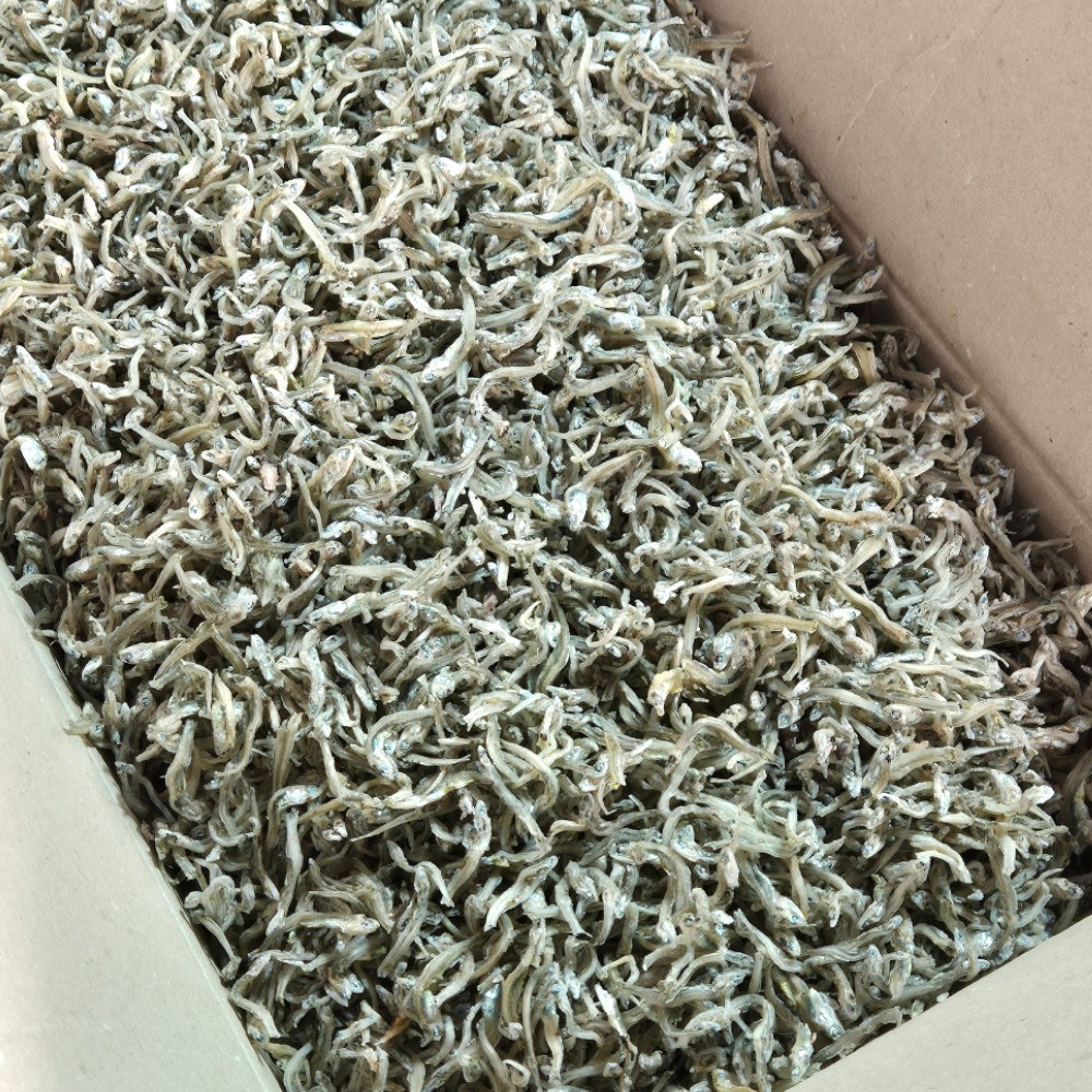 오늘의바다 국산 햇 실속형 지가이리멸치 1.5kg 볶음멸치 식자재 (당해 생산) 22,900원