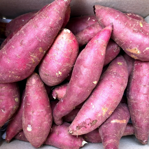 맛통령 베니하루카 꿀고구마 10,960원