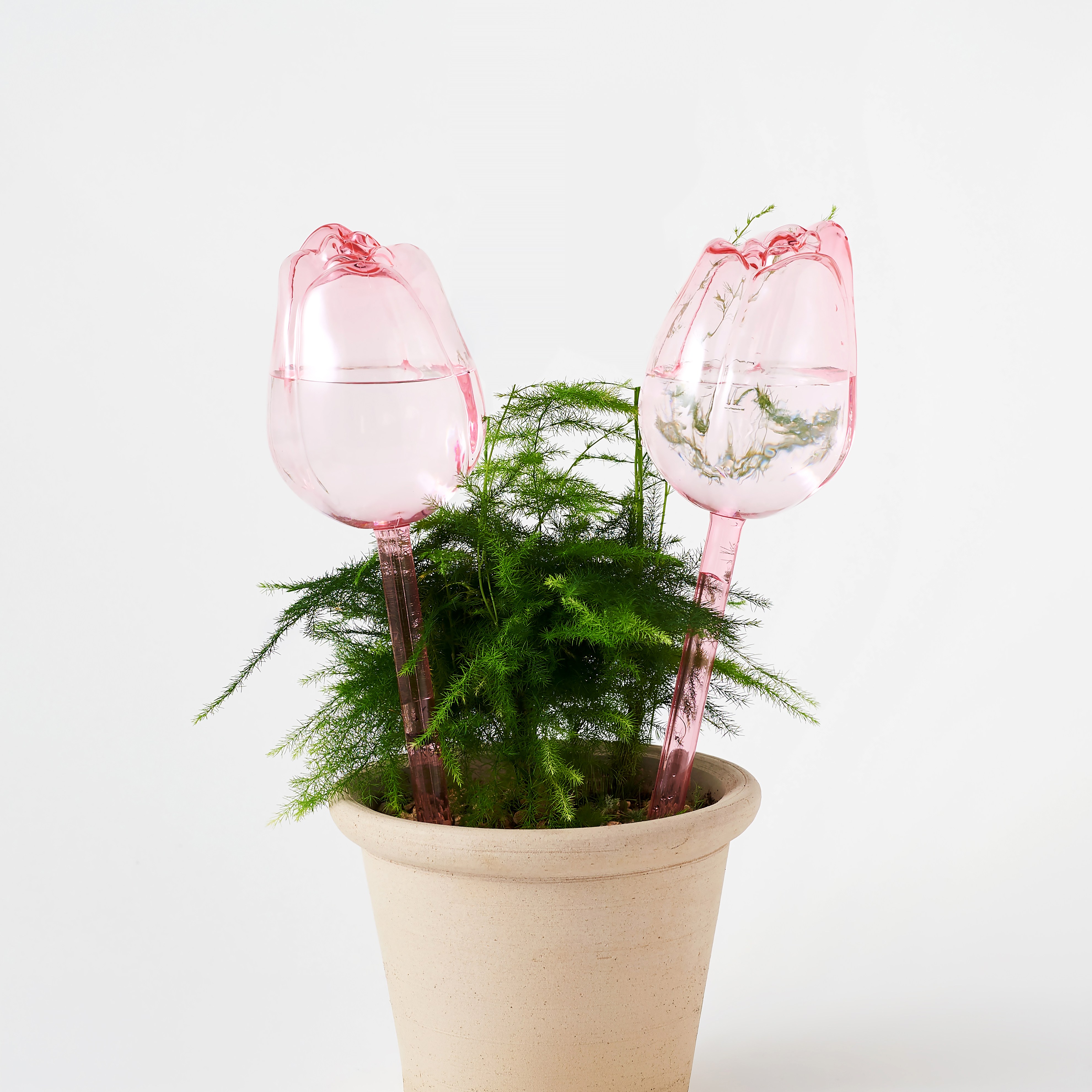 퓨어베어스마켓 튤립 화분 급수기 식물 물주기, 핑크, 4개 10,000원