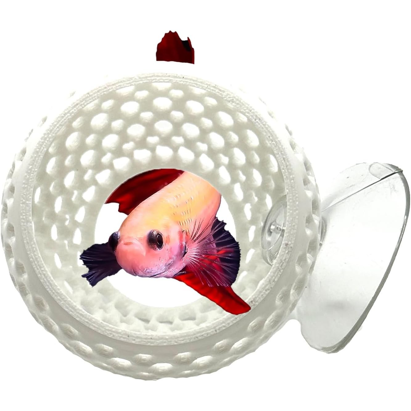 그린스하비 물고기 베타 은신처 터널 숨숨집 8,800원