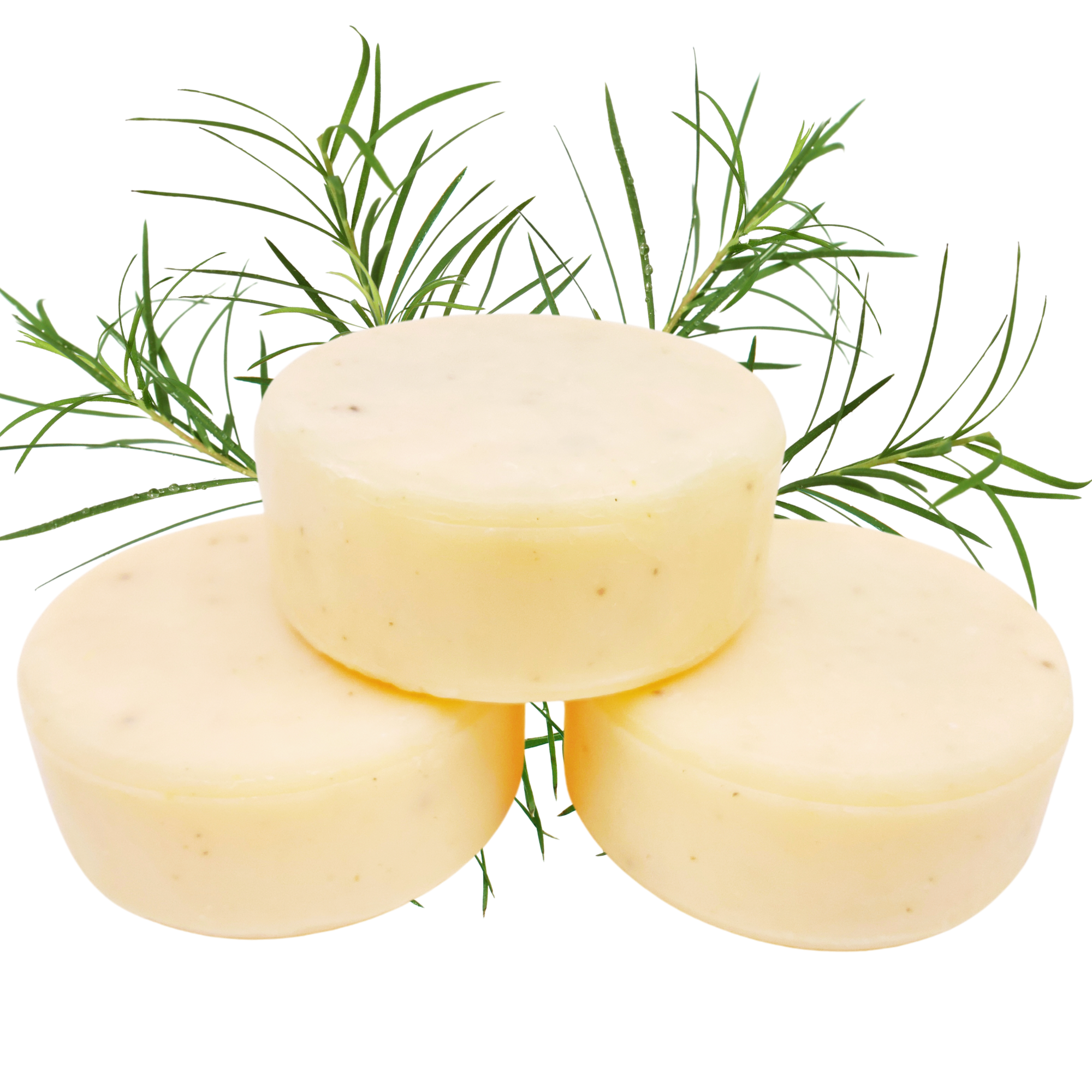 심플럿 미국 아마존 1등 설거지 비누, 친환경 자연유래 디쉬바 13,900원