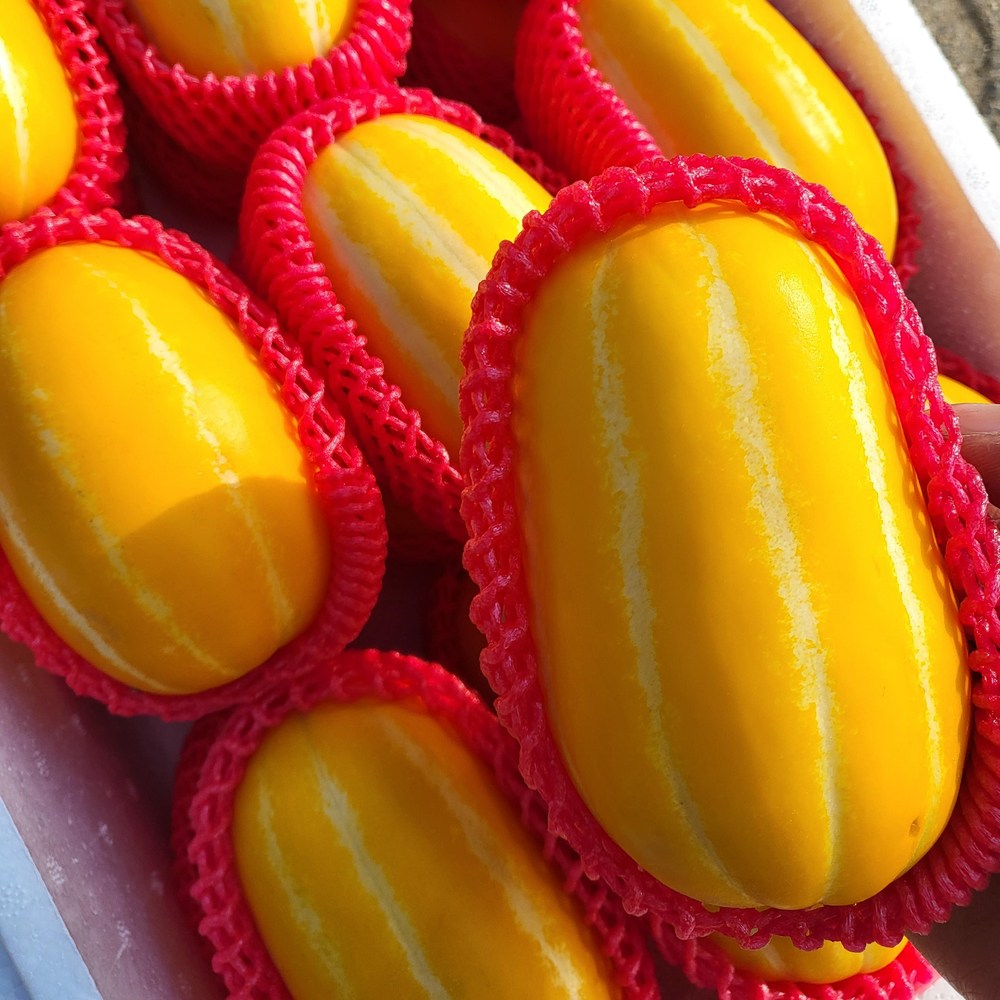 농랑부랑 성주참외 꿀참외 가정용 로얄과 5kg 10kg 78,900원