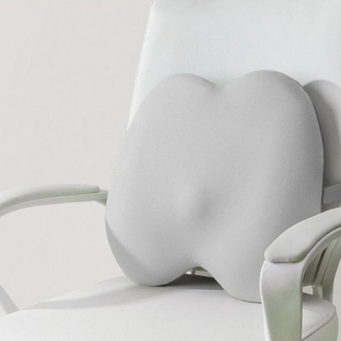 골드릭 사무실 책상 의자 허리 등 받이 쿠션 21,900원