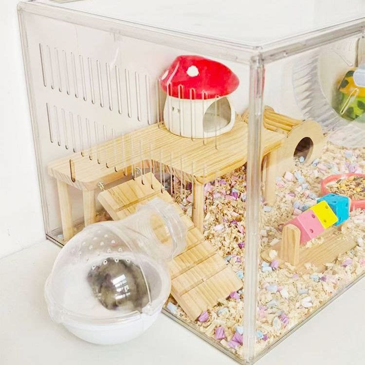 대형 아크릴 햄스터 케이지 투명 리빙박스 골든햄스터 집 사육장 하우스 놀이 공간 포함 43,000원