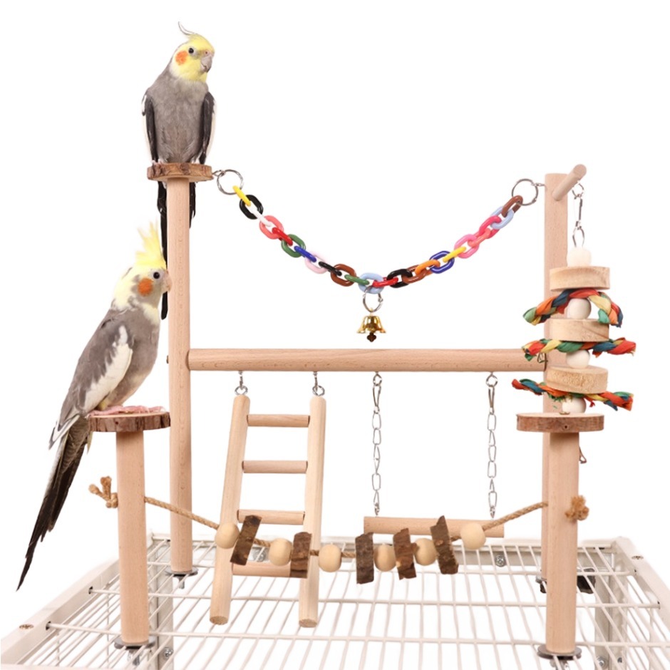 칠시 앵무새 컬러브릿지 원목 놀이터, 우드, 1개 19,800원