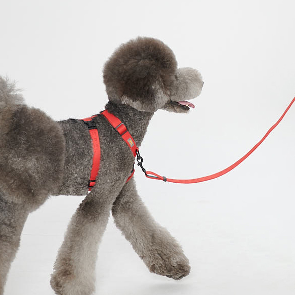 [SPEL] 스펠 앞섬TY하네스 세트 (잎삼하네스 + 2.5m 리드줄), BEIGE, 1개 61,000원