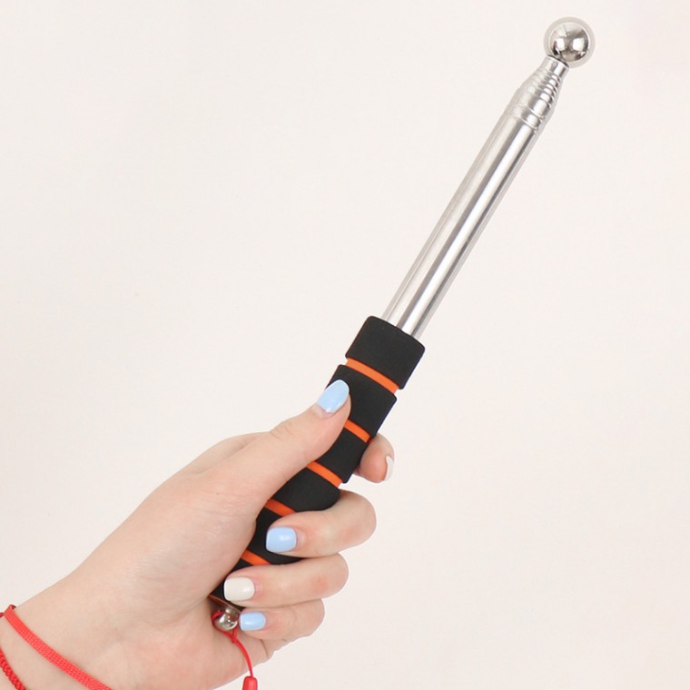 데일리마일샵 가이드 인솔 길이조절 깃봉 깃대봉 깃발 250cm 9,290원