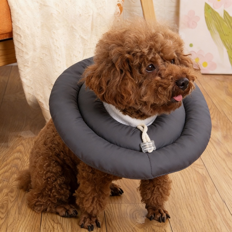 상덕 강아지 넥카라 UFO 고양이 겸용 방수 반려생각 14,290원