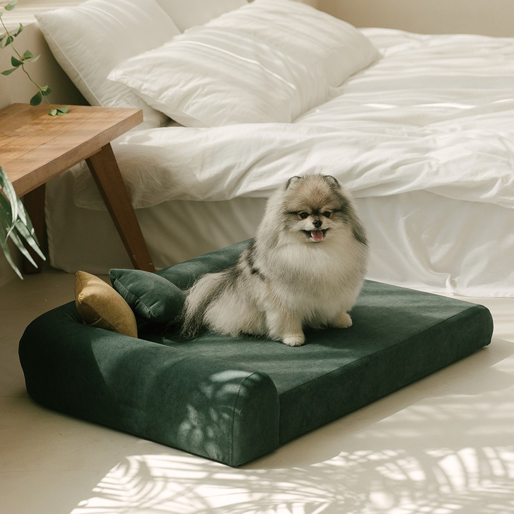 펫더팬 프리미엄 강아지 고양이 애견 침대 소파 방석 슬개골 보호, 에메랄드 그린, 1개 189,000원
