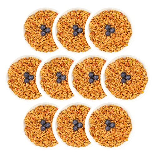 펫쉴드 강아지화식 자연식 수제사료 닭가슴살과 통 블루베리 화식, 닭, 100g, 10개 19,000원