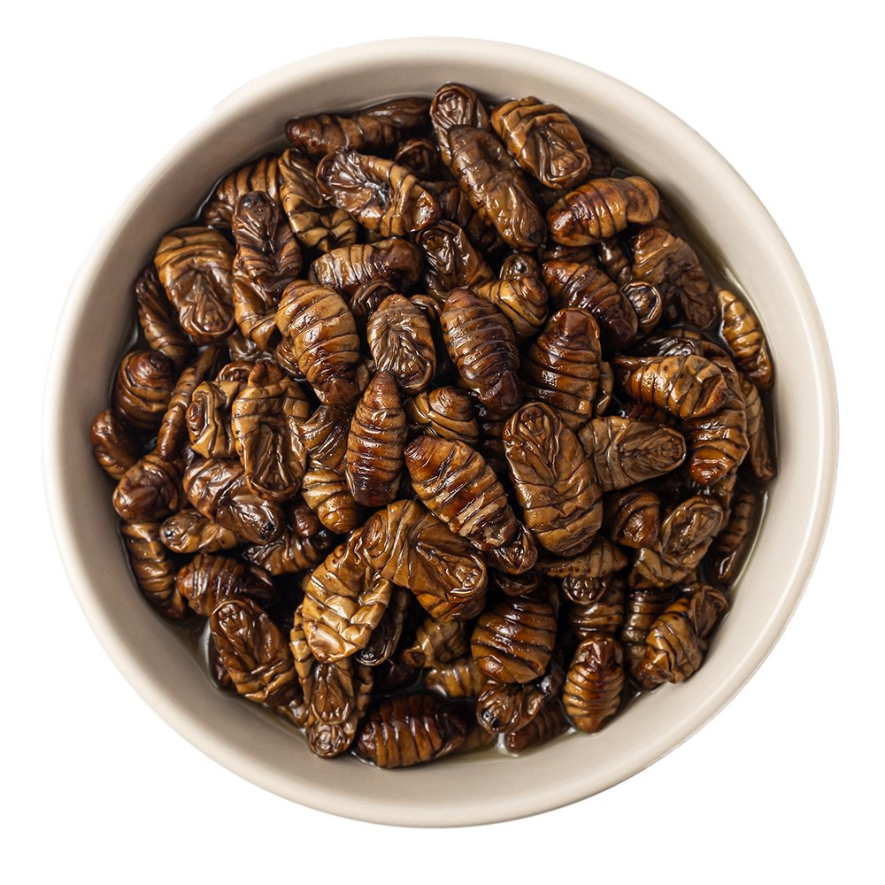 고단백 주전부리 간식 냉동번데기 1kg 번데기탕 반찬 소포장 번데기, 1kg, 1개 8,900원