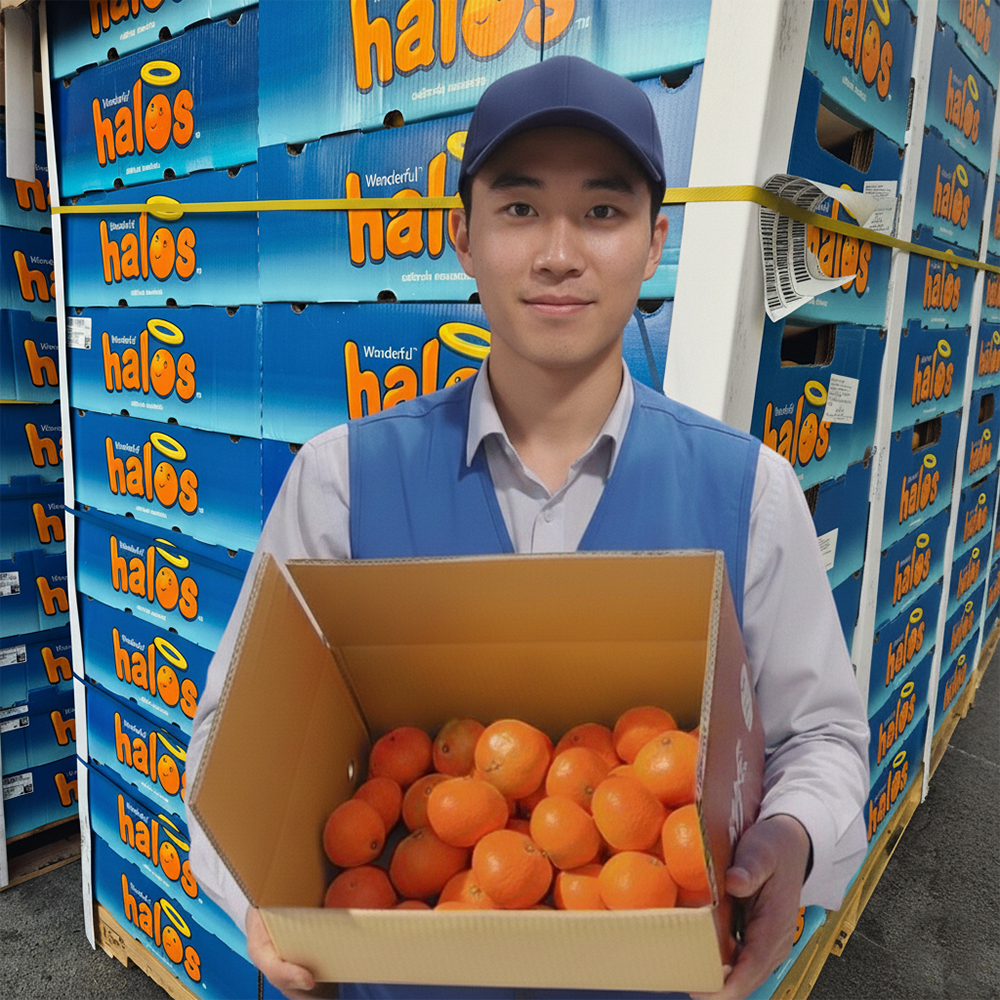 [상위1%새벽경매] 미국 캘리포니아 만다린귤 22,890원