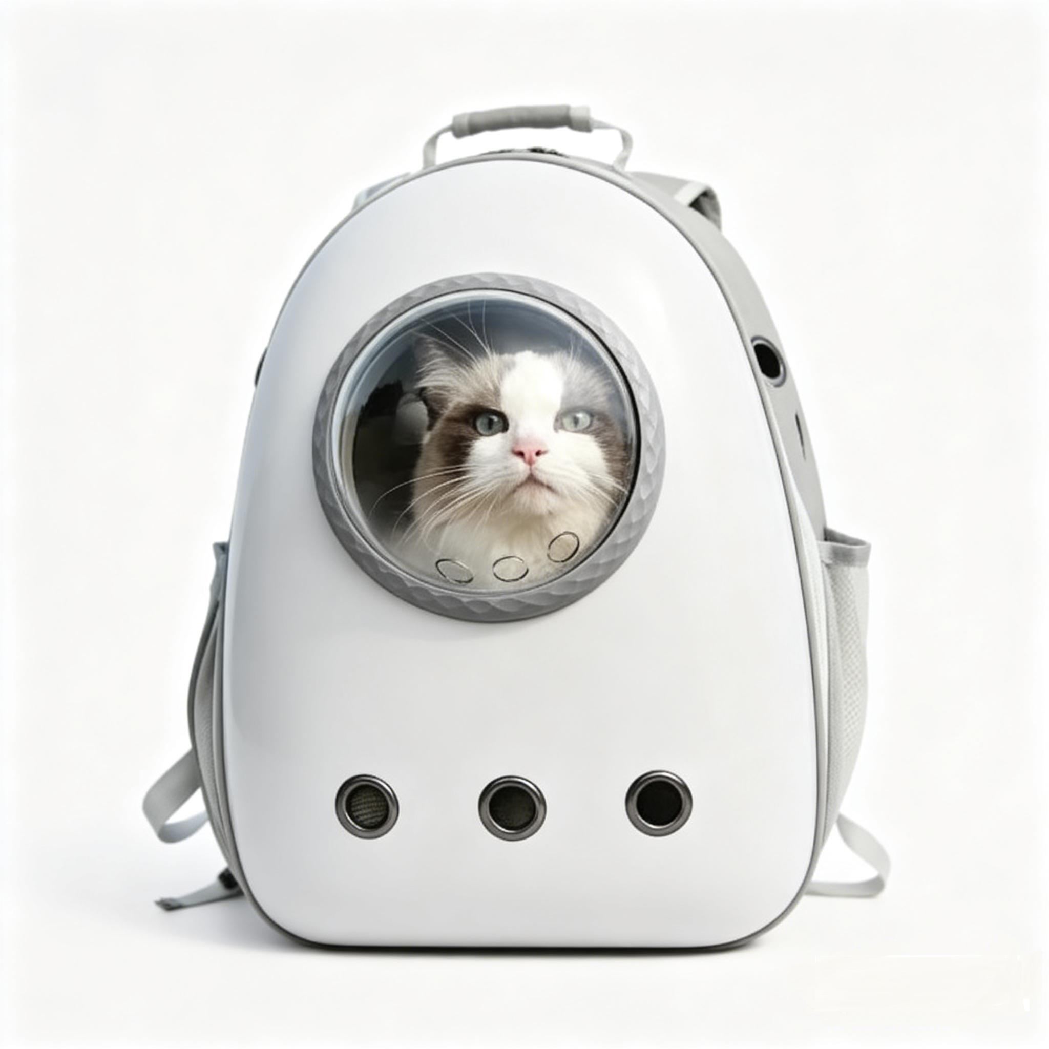 반려동물 투명 우주선 백팩 고양이와 개 공용, 1개, 회색 21,000원