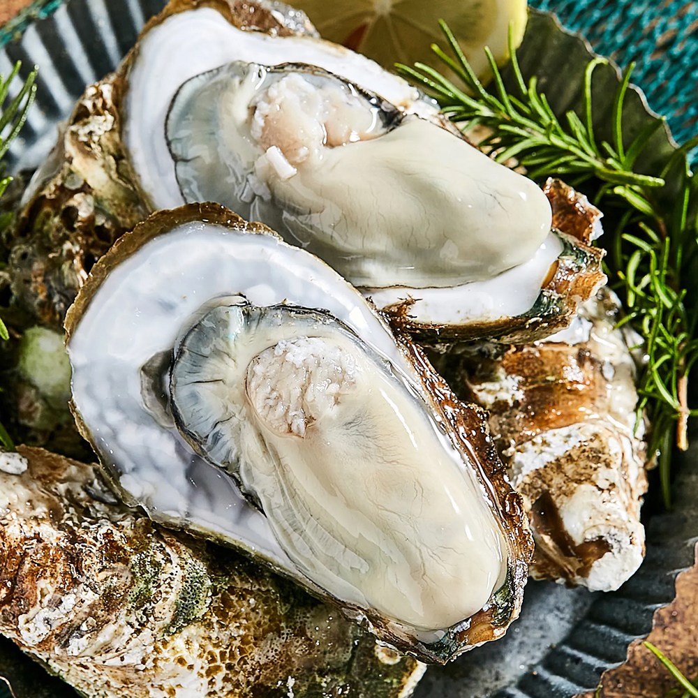 [모두밥상] 살이 옹골차게 오른 남해안 굴 생굴 산지직송 102,000원