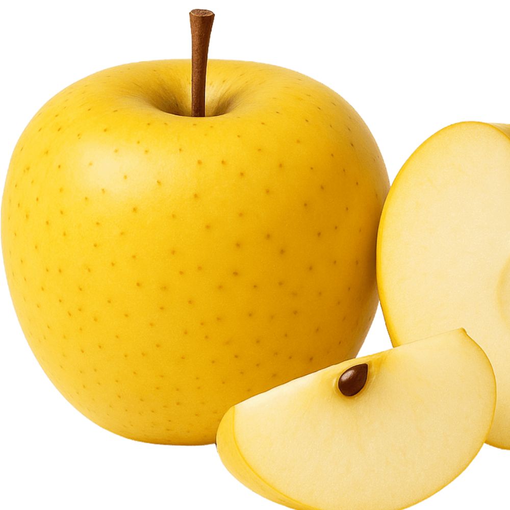 고당도 쥬스용못난이 시나노골드사과 경북안동 산지직송 농장직송, 1개, 10kg 29,900원