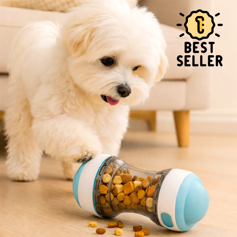 도키픽 분리불안 케어 노즈워크 볼 13,900원