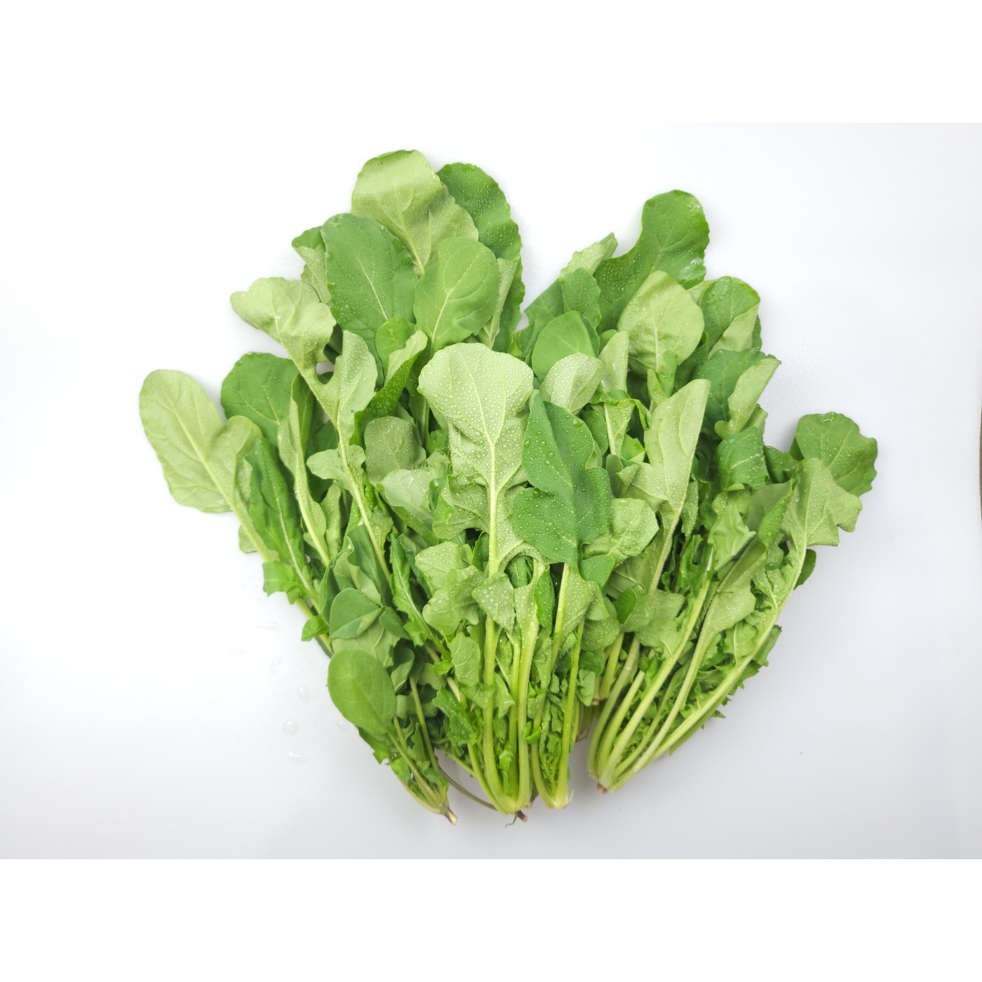 쉐프의정원 손질 뿌리제거한 로케트 루꼴라 21,000원