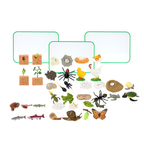 [캐스B] 네이처 성장과정 피규어9종 +자석보드판3종 활동지세트(1077set) 곤충모형 96,800원