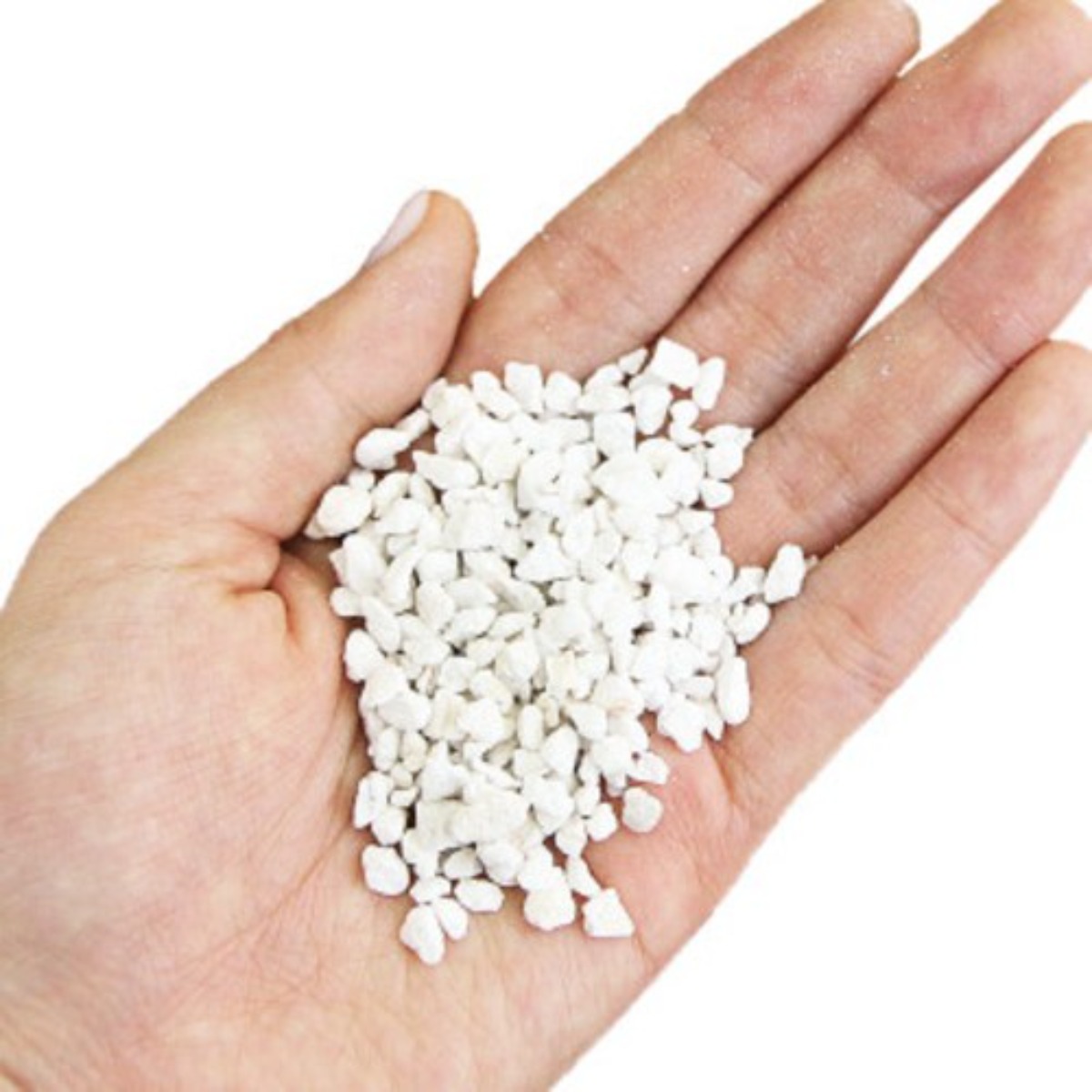 마오리 알이 굵고 단단한 펄라이트 40L 80개입 파레트 대성식물 720,000원