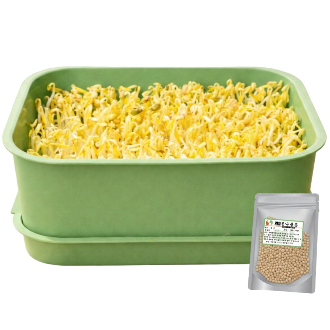 가정용 콩나물 재배기, 1개 12,800원