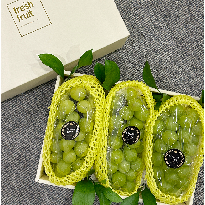 [백화점납품] 샤인머스켓 선물세트 보자기포장 설선물과일선물세트, 1박스, 샤인머스켓 선물세트 프리미엄 3수 50,400원